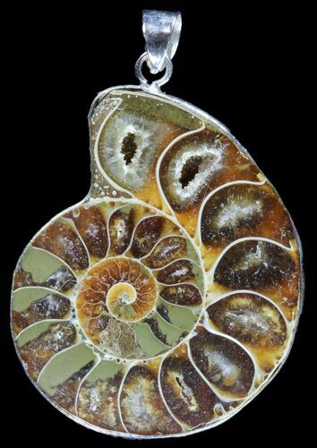 Fossil Ammonite Pendant - Million Years Old #89816